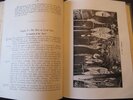 Williams, F.E.: The Natives of the Purari Delta. – Bild 2