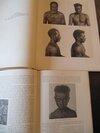 Sarasin, Fritz.: Nova Caledonia. Anthropologie der Neu-Caledonier und Loyalty-Insulaner. – Bild 4