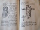 Gusinde, Martin.: Die Feuerland-Indianer. Die Ergebnisse meiner vier Forschungsreisen in den Jahren 1918 bis 1924, unternommen im Auftrage des Ministerio de Instruccion Publica de Chile. – Bild 3