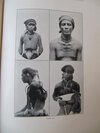 Worcester, Dean C.: The Non-Christian Tribes of Northern Luzon. IN: The Philippine Journal of Science VOL. I. – Bild 4