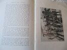 Cayley-Webster.: Through New Guinea and the Cannibal Countries. – Bild 2