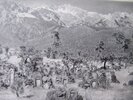 Rock, Joseph F.: The Zhi Mä funeral ceremony of the Na-Khi of Southwest China. Described and translated from Na-Khi manuscripts. – Bild 4