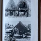 Jenness, D.: The Northern D'Entrecasteaux. - Bild 3