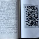 Hahn, C.H.L. / Vedder, H. / Fourie, L.: The native tribes of South West Africa. - Bild 4