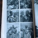 Verger, Pierre.: Congo Belge et Ruanda-Urundi. - Bild 4
