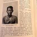 Kleiweg de Zwaan, J.P.: Die Insel Nias bei Sumatra. - Bild 3