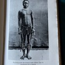 Brown, A.R.   = (Radcliffe-Brown, A.R.): The Andaman Islanders. - Bild 2