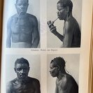 Czekanowski, Jan.: Forschungen im Nil-Kongo- Zwischengebiet. - Bild 3