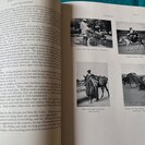Carleton Stevens Coon.: Tribes of the Rif. - Bild 4